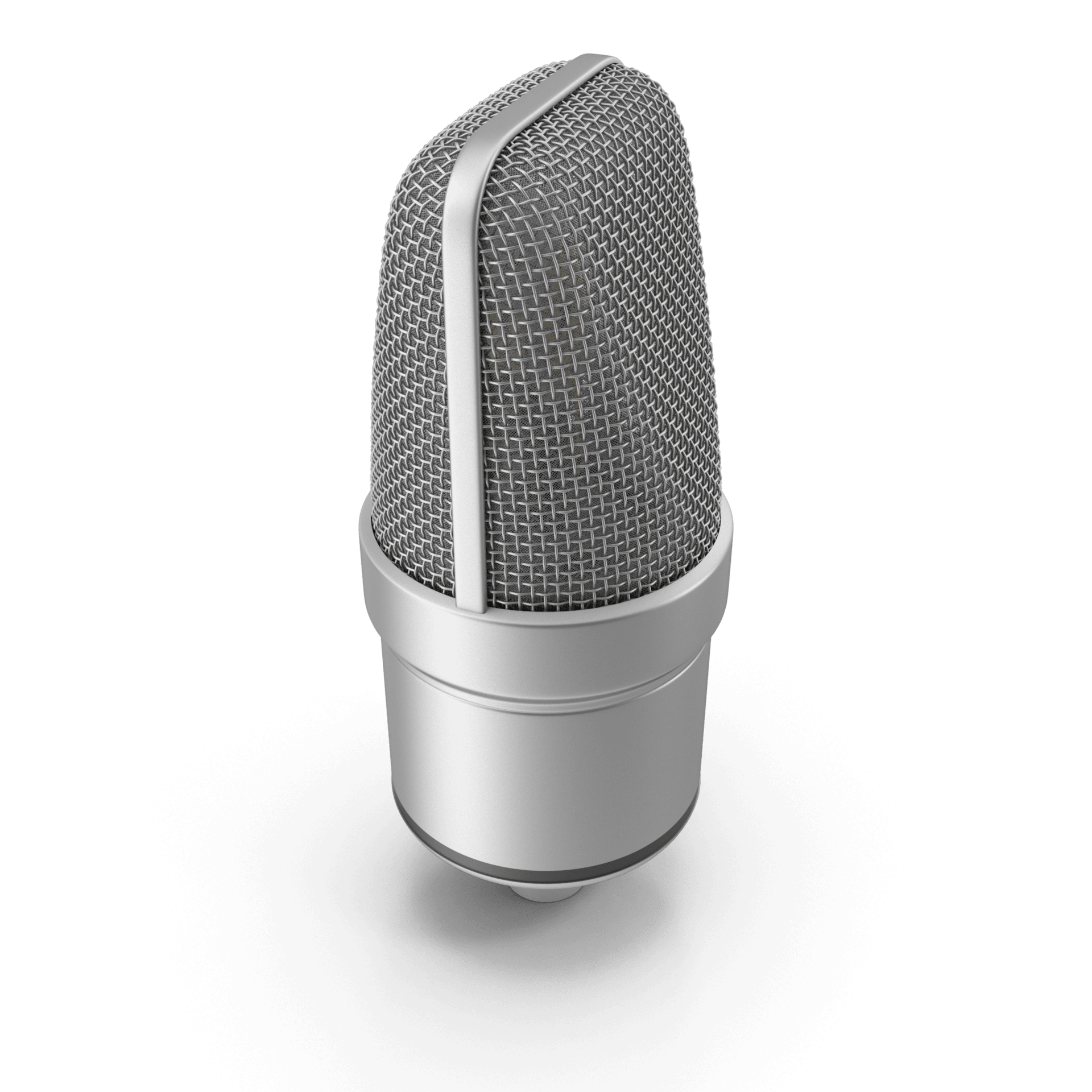 מיקרופון מקצועי